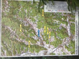 Zell am Harmersbach 2019